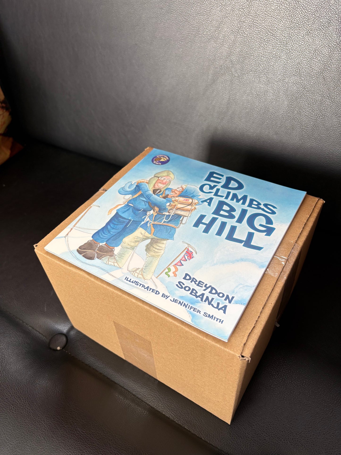 BOX of 40 books - Ed Climbs a Big Hill - Dreydon Sobanja