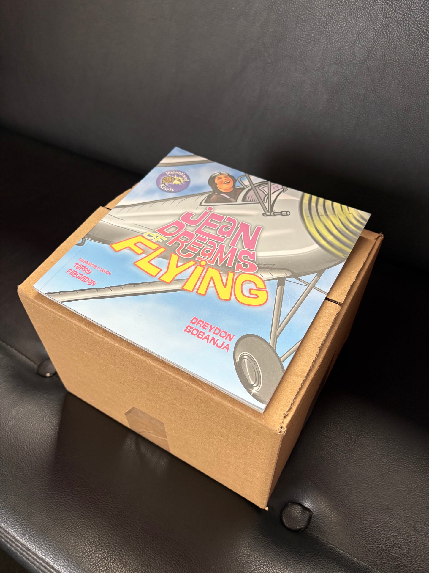 BOX of 35 books - Jean Dreams of Flying - Dreydon Sobanja